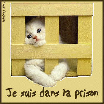 je suis à toi...
